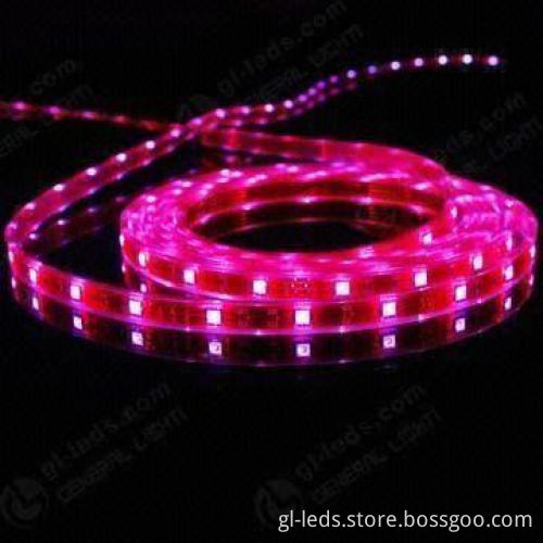 Waterproof LED Strip with 12 or 24V DC Voltage and 120-degree Wide Angle Illumination